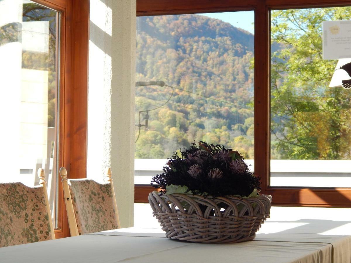 Free Apartment - Bei Den Thermen Bad Urach Bagian luar foto