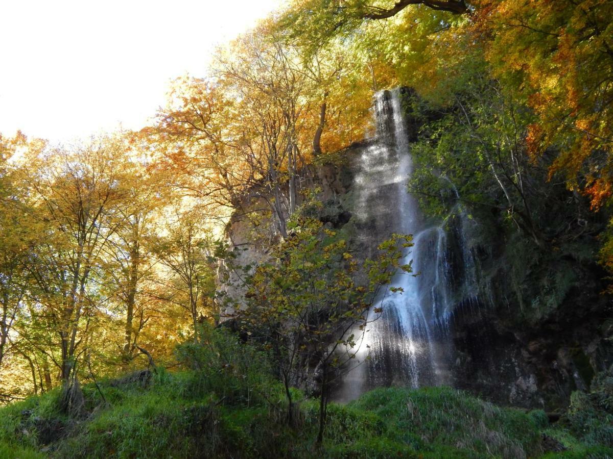 Free Apartment - Bei Den Thermen Bad Urach Bagian luar foto