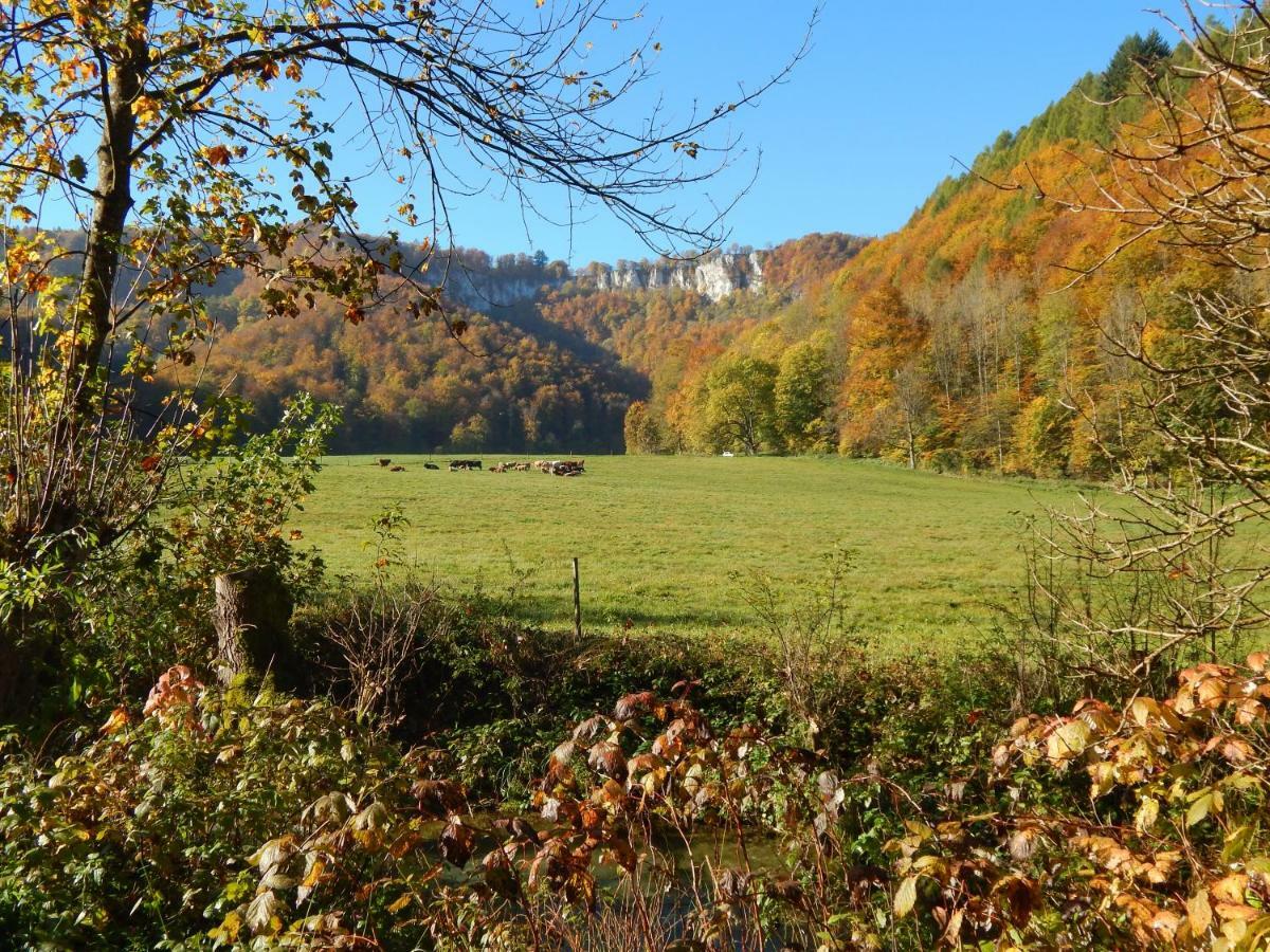 Free Apartment - Bei Den Thermen Bad Urach Bagian luar foto