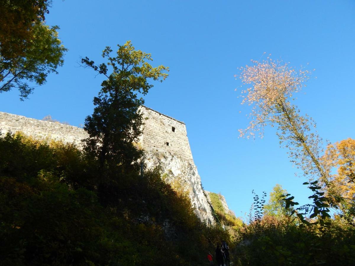 Free Apartment - Bei Den Thermen Bad Urach Bagian luar foto