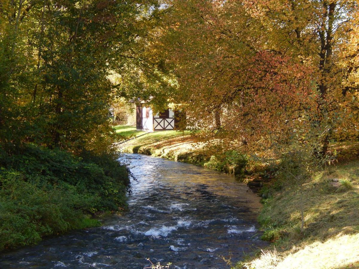 Free Apartment - Bei Den Thermen Bad Urach Bagian luar foto