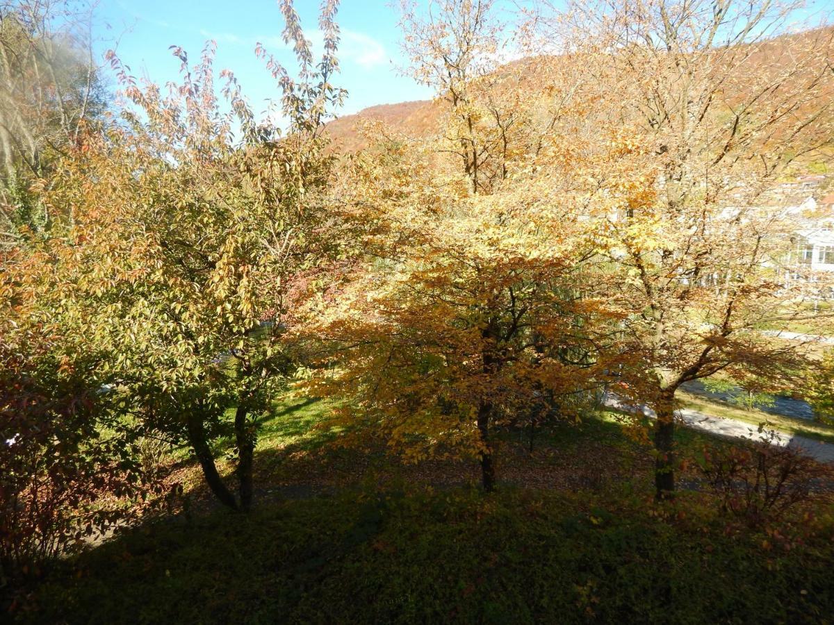 Free Apartment - Bei Den Thermen Bad Urach Bagian luar foto